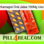 Kamagra Oral Jelly 100Mg Use new01